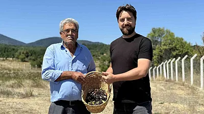 4 yıl önce dikti şimdi ekmeğini yemeye başladı