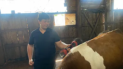 Ahırdan geleceğe: 14 Yaşındaki Bayram'ın büyük hayali