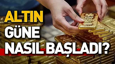 Altın piyasasında yükseliş trendi sürüyor