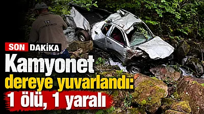 Bahçede facia: Kamyonet uçuruma yuvarlandı, sürücü hayatını kaybetti