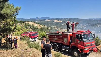 Çalılık Yangınının Bilançosu Ağır: 85 Arı Sandığı Kül Oldu