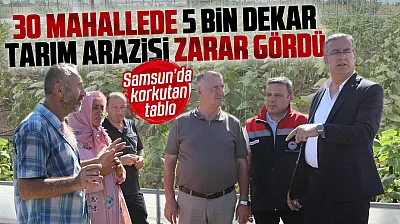 Çarşamba'da sağanak sonrası hasar tespit çalışmaları sürüyor