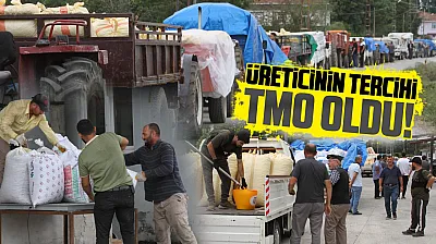 Çarşambalı üreticinin tercihi TMO oldu