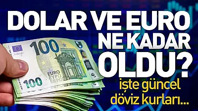 Dolar ve Euro Piyasalarında Son Durum