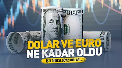 Döviz piyasasında son durum