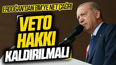 Erdoğan'dan BM güvenlik konseyi için veto çağrısı