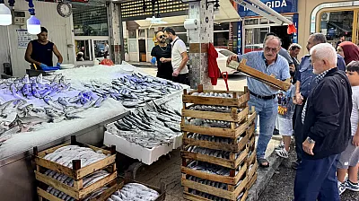 Karadeniz'de palamut bereketi başladı