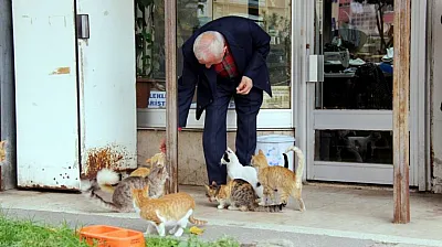 Kedilerin Dedesi Mahmut Usta, Sokak Hayvanlarına Umut Oluyor