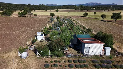 Kütahya'da hobi olarak başladı, lavanta bahçesi kırsal turizmin gözdesi oldu