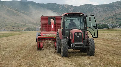 Muş'ta Besicilerin Kış Mesaisi Başladı: Teknoloji Yem Hazırlığını Kolaylaştırıyor