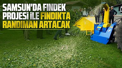 Samsun Atakum'da fındığın randımanın artıracak proje
