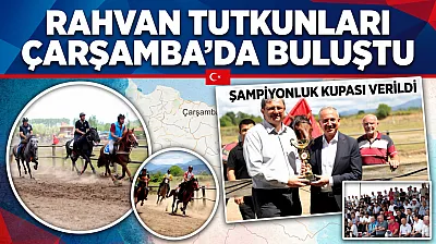 Samsun Çarşamba'da 63 at 7 kategoride kıyasıya yarıştı