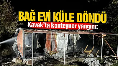 Samsun'da bağ evi olarak kullanılan konteyner küle döndü