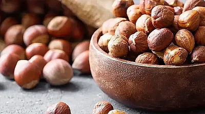 Samsun'da fındık fiyatları yükseliş sinyali veriyor! İlçelerde son durum belli oldu