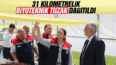 Samsun'da zararlı böcek mücadelesinde tuzaklama sistemi