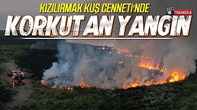 Samsun Kızılırmak Deltası Kuş Cenneti'nde yangın