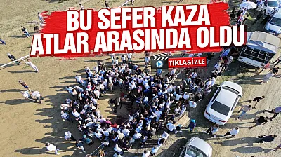 Sarımsak Festivali'nde feci kaza Çarpışan iki at telef oldu