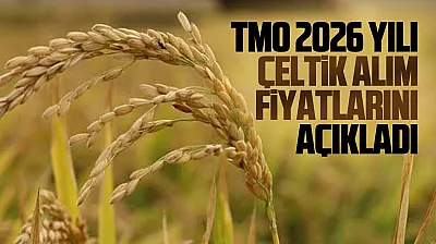TMO çeltik alım fiyatları açıklandı