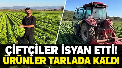Üreticinin emeği pazarda karşılık bulmuyor