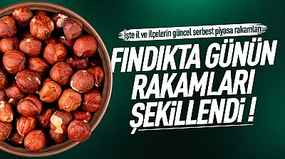 Üreticinin gözü serbest piyasada: İşte il il canlı fındık fiyatları raporu!