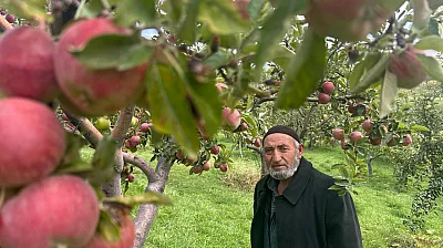 Van'da aynı ağaçta hem kırmızı hem yeşil elma yetiştirdi