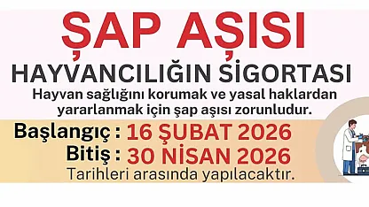 Samsun'da İlkbahar şap aşılama programı başladı