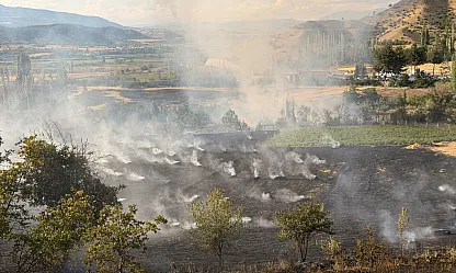 Çorum'da ormanlık alana sıçrayan yangına müdahale ediliyor