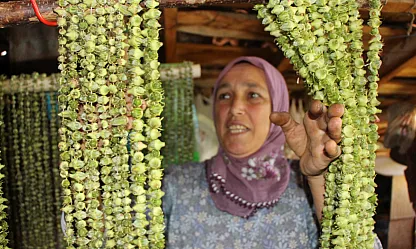 İğneyle tek tek diziliyor, kilosu 1.400 TL'den satılıyor