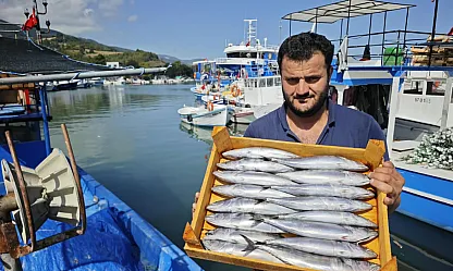 Karadeniz'de balıkçıların yüzü gülüyor