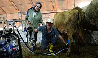 Masa başından ahıra uzanan hayal: Üç inekle çiftlik kurdular