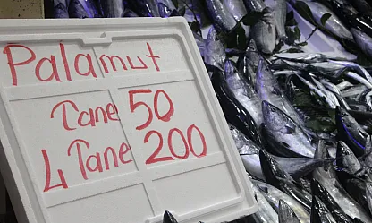 Palamut denizden fışkırdı, fiyatı 50 liraya indi