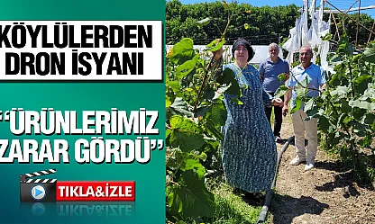 Samsun'da 'dron ile çeltik ilaçlaması' yine tartışma konusu