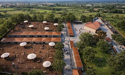 Terme'de bin hayvan kapasiteli bakım evinde çalışmalar hız kazandı