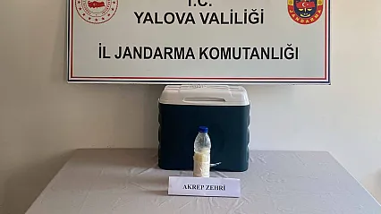 500 gram akrep zehri ele geçirildi: Değeri 5 milyon dolar
