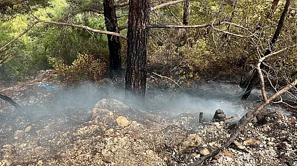 Alanya'da orman yangını: 1 dönüm alan zarar gördü