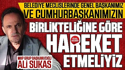Ali Sukas 'MHP'li meclis üyeleri yanlış görürse itiraz eder'