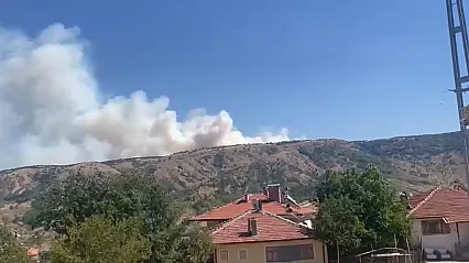 Ankara-Çankırı sınırında orman yangını