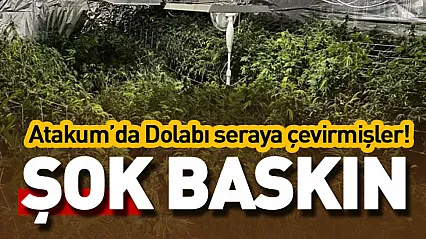 Atakum'da şok baskın : Dolabı seraya çevirmişler!