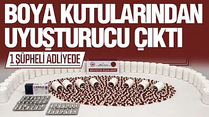 Bagajdaki Boya Kutularından Uyuşturucu Çıktı: 1 Şüpheli Adliyede