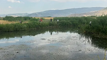 Balık tutarken suya düşen genç ile onu kurtarmaya çalışan kuzeni hayatını kaybetti