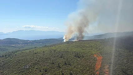 Bodrum'da orman yangını: Havadan ve karadan müdahale sürüyor