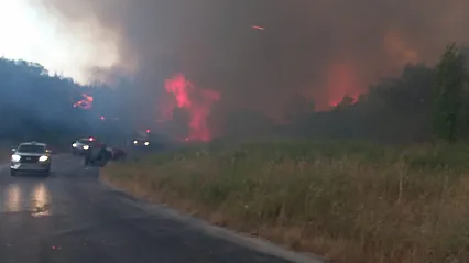 Çanakkale'de orman yangınına havadan ve karadan müdahale