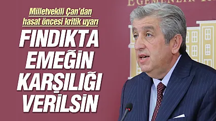 CHP'li Murat Çan: 'Fındıkta maliyet 200 lirayı aştı, üretici emeğinin karşılığını bekliyor'