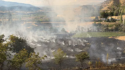 Çorum'da ormanlık alana sıçrayan yangına müdahale ediliyor