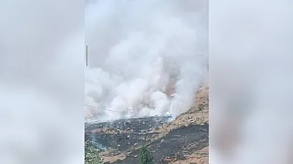 Dağlık alanda çıkan yangın büyüyor: Binlerce arı telef oldu