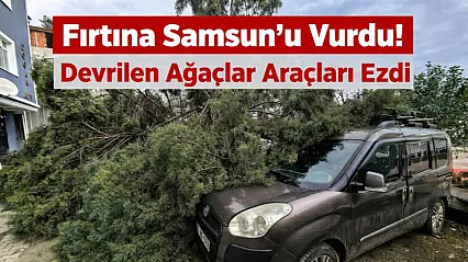 Fırtına Samsun'u Vurdu! Devrilen Ağaçlar Araçları Ezdi
