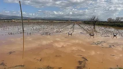 Gediz taştı, traktörler kurtarma aracı oldu