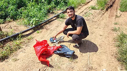 Hırsızlar biberleri üreticiden önce hasat etti