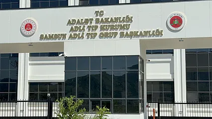 Ihlamur toplarken ağaçtan düştü yaşam savaşını kaybetti