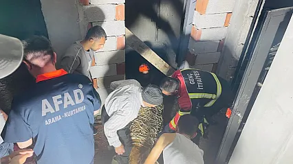 İnşaat çukuruna düşen inekler makaralı sistemle kurtarıldı